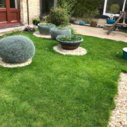 Techniques de taille pour maintenir un jardin esthétique et en bonne santé Bois-Colombes